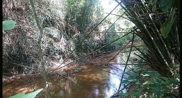 Headwaters of the Muar River near Kuala Pilah. The Muar, along with the Linggi, was one of the most important trade routes in medieval Negeri Sembilan