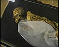 Tätowierte Mumie der „Prinzessin von Ukok“, die 1993 in einem Kurgan bei Kosch-Agatsch gefunden wurde (5.–2. Jh. v. Chr.)