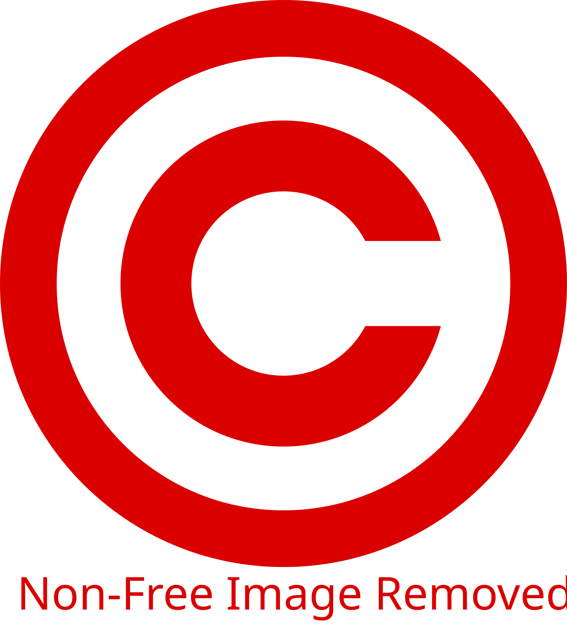 https://upload.wikimedia.org/wikipedia/commons/thumb/e/ee/NonFreeImageRemoved.svg/1862px-NonFreeImageRemoved.svg.png