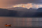 Nordfjordhjort, Bryggja, Vestland, Norwegia - Pano