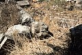 North Church, Kimar, Syria - Capital from nave colonnades and west end steps - PHBZ024 2016 6240 - Dumbarton Oaks.jpg