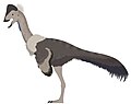 Ojoraptorsaurus