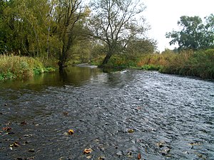 The Oker in the Okertal nature reserve near Schladen