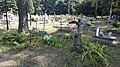 Old catholic cemetery in Pionki, 2019.07.25 (09).jpg