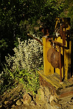 old sack scale in Botanical Garden, Chania, Crete, Greece