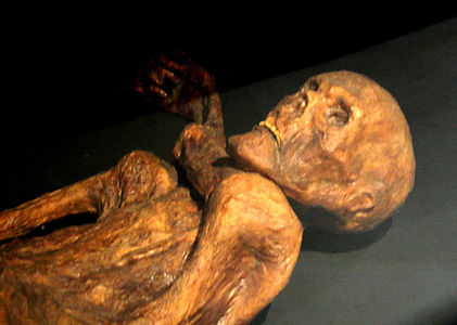 세계에서 가장 오래된 미이라인 외치는 기원전 4000년 무렵에 살았던 남성으로 알프스 남단의 트렌티노알토아디제주에서 발견되었다.
