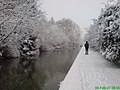 Oxford Canal in the snow - geograph.org.uk - 1122546.jpg