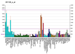 PBB GE MGAT1 201126 s ב fs.png