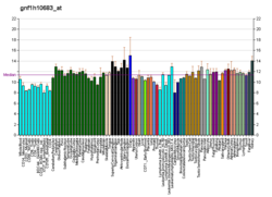 PBB GE OR52K1 gnf1h10683 در fs.png