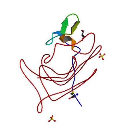 A drawing of clotting factor VIII