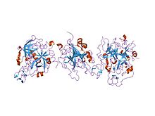 PDB 1e0f EBI.jpg