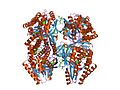 Vignette pour Phosphomévalonate kinase