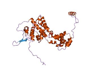 <span class="mw-page-title-main">Borna disease virus</span> Species of virus