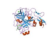 1nfx: ساختار کریستالی عامل انعقاد انسانی XA کمپلکس با RPR208944