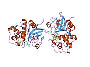 PDB 1nlj EBI.jpg