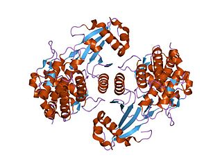 <span class="mw-page-title-main">Choline/ethanolamine kinase family</span>