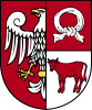 Coat of arms of Czarnków-Trzcianka County