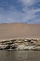 Español: Candelabro de Paracas This is a photo of a monument in Peru, identified by ID ICA-081