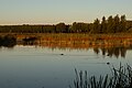 Park Lingezegen, natuurlandschap bij Rijkerswoerdse Plassen