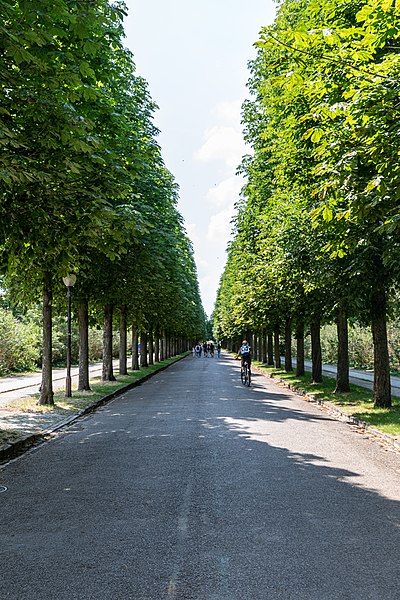 File:Park Sanssouci, Potsdam (SPSG2258).jpg