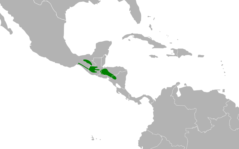 File:Penelopina nigra map.svg