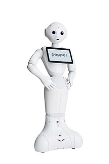 Pepper roboten