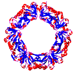 Peroxiredoxin class of enzymes