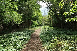 Petite Ceinture