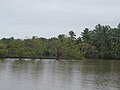 Photos taken from a boat ride along the Kavvayi backwaters, Payyannur, Kannur (9).jpg