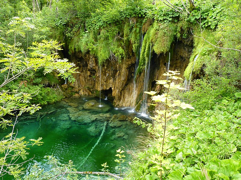 File:Plitvice Lakes , Croatia, summer 2011 (11).JPG