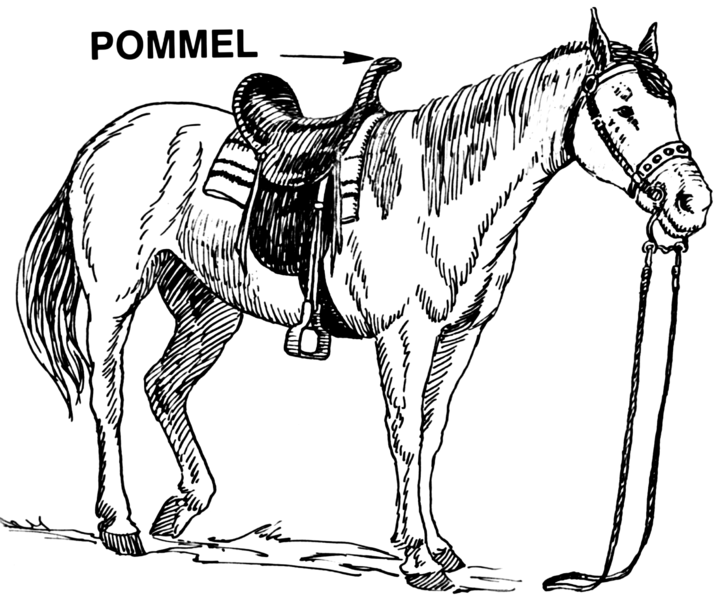 File:Pommel (PSF).png