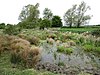 Pond on Great Wilbraham Common - geograph.org.uk - 1308564.jpg