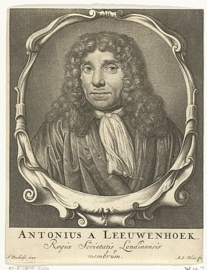 Antonie Van Leeuwenhoek