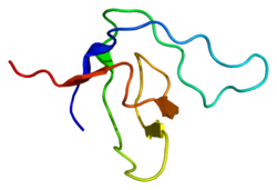 Białko CRKL PDB 2bzx.png