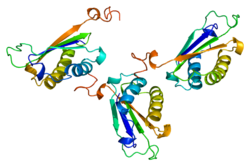 Ақуыз DDT PDB 1dpt.png