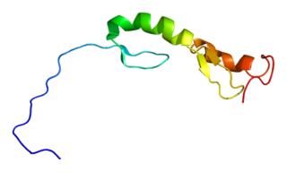 <span class="mw-page-title-main">TRAFD1</span> Protein-coding gene in the species Homo sapiens