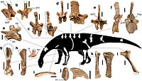 List Of African Dinosaurs