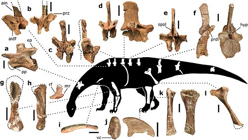 Pulanesaura