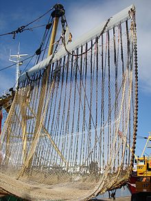 The pulse trawl: electrodes in the tow direction of the gear cause an electric field above the seabed, which stimulate the flatfish so they come up toward the net Pulswing.JPG