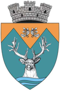 Wappen von Novaci