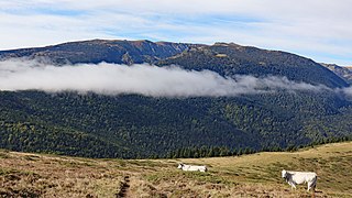 Le pic de Madrès vu depuis les pentes du pic Dourmidou.