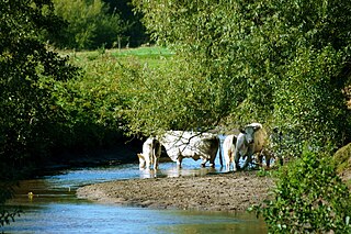 Der 114,6 km lange Fluss Berke