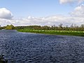 River Barrow - panoramio.jpg