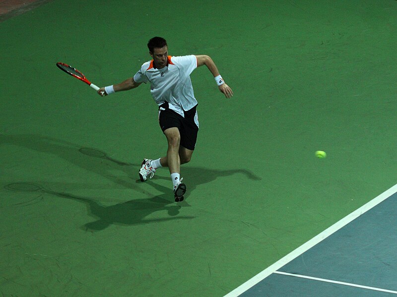 File:Robin Soderling Chennai Open.jpg