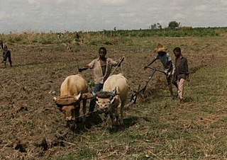 <span class="mw-page-title-main">Child labour in Africa</span> Overview of child labour in Africa