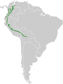 Distribución geográfica del gallito de las rocas peruano.