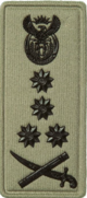 SANDF Rank Insignia General embossed badge right.png