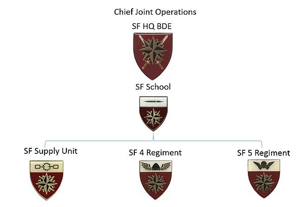 Organigrama de las Fuerzas Especiales SANDF