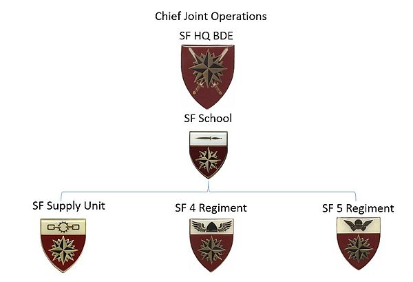 SANDF Özel Kuvvetler Organigramı