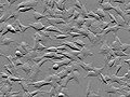SH-SY5Y cells, transmitted light phase gradient contrast microscopy with ZEISS Celldiscoverer 7 (30614936722).jpg